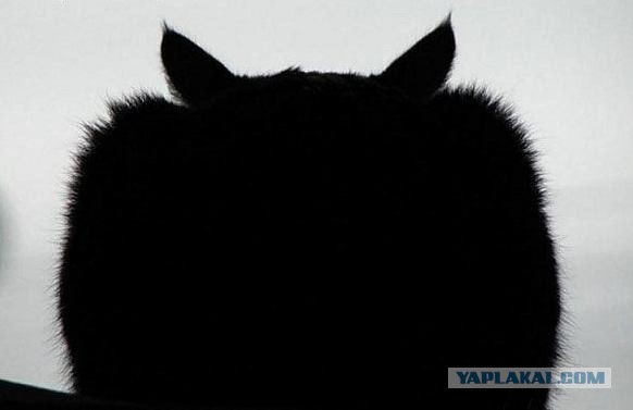 Уот так уот..Уоот. Все, мне так удобно