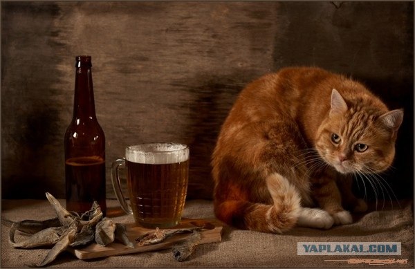 Не забываем, что сегодня Пятница!