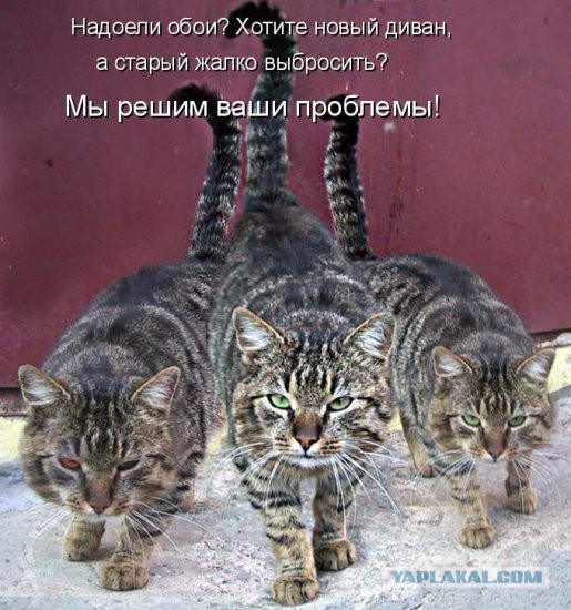 Дерзкие и брутальные