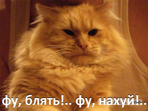 Посетители ночных клубов Москвы