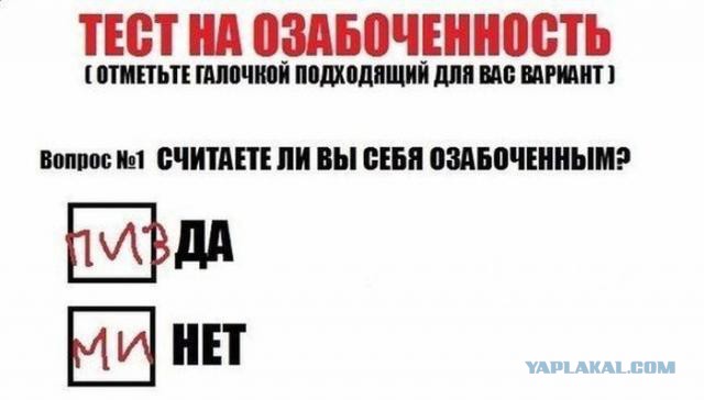 Картинки