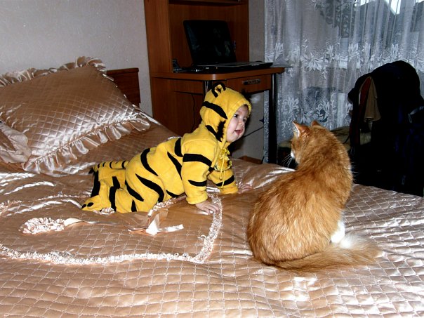 Детки
