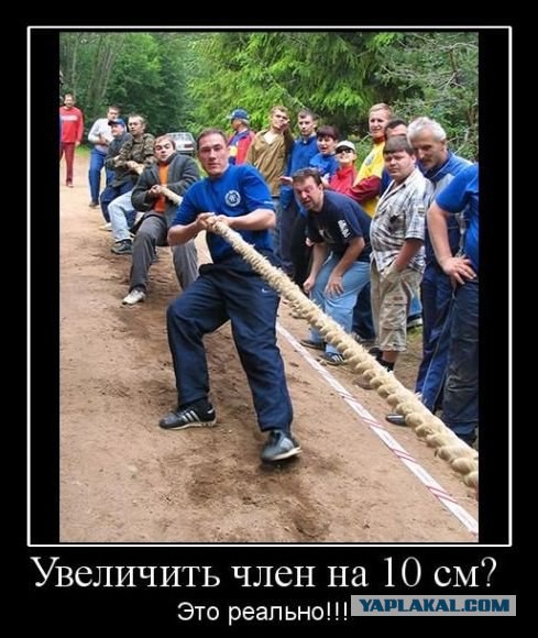 У него стальные ЯЙ... в смысле нервы, а у вас?