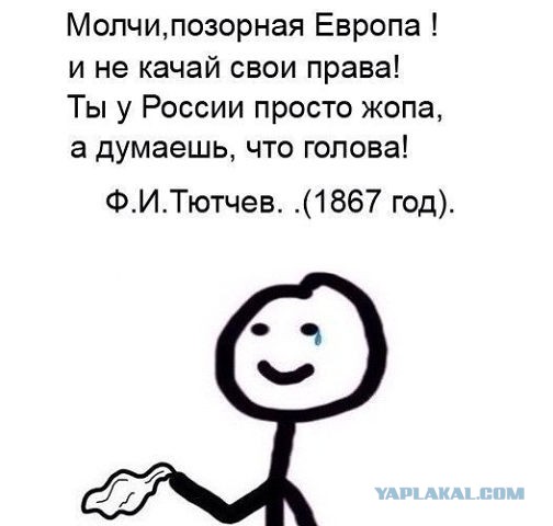 Подборка веселых картинок