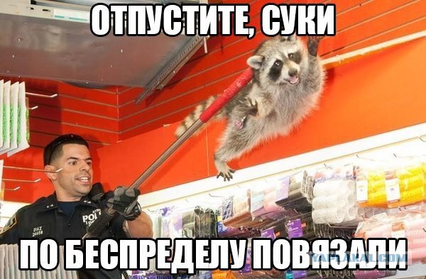 А вот и новые картинки!