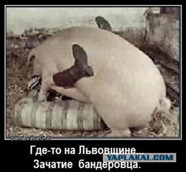 Ужгород, ценники