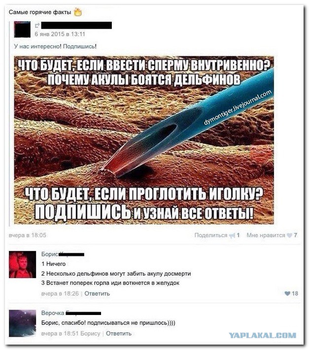 Смешные комментарии из социальных сетей
