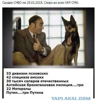 Перемирие кончилось, едва начавшись.
