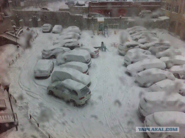 А из нашего окошка ....