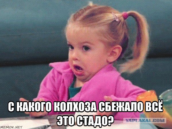 Наказал хама