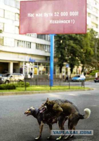 Фото, сделанные в идеальный момент