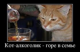 Как?!