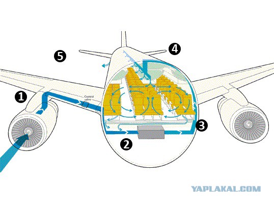 Карта самолета для teardown