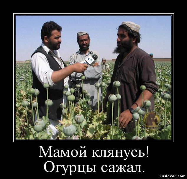 Наркоманский юмор