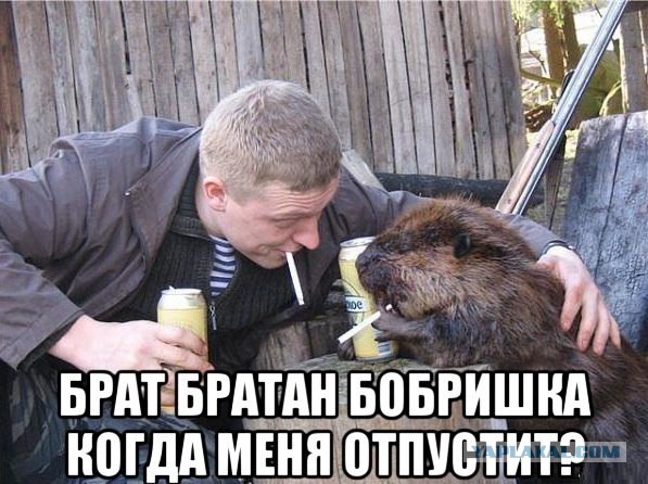 Пост редкостной наркомании и черного юмора