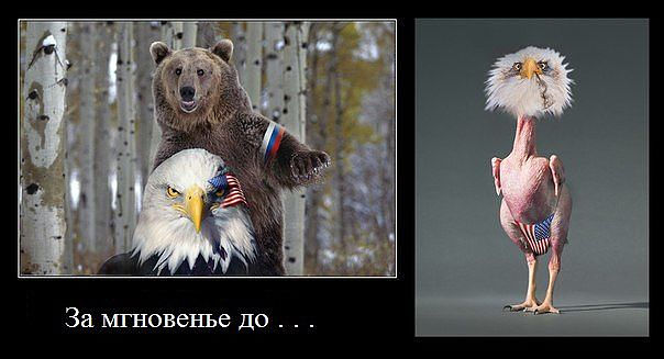 Картинки на пятницу