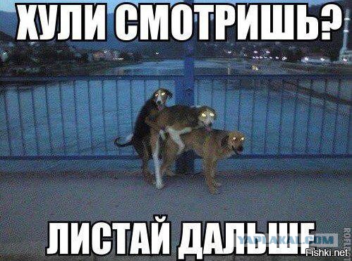 Немного картинок на воскресенье