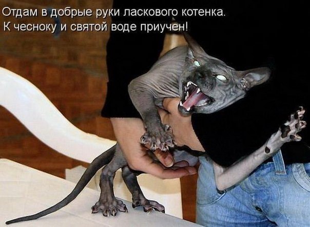 картинки на выходные