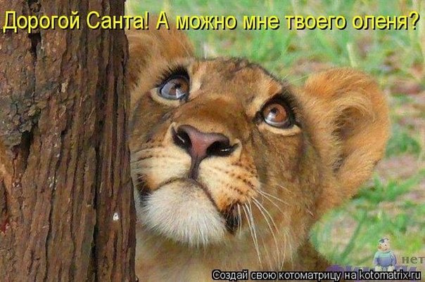 Картинки и демотиваторы