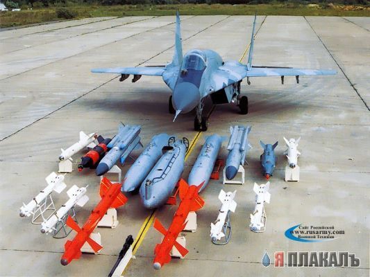 ЖИВОТНАЕ ЛЮБАПЫТСТВО
