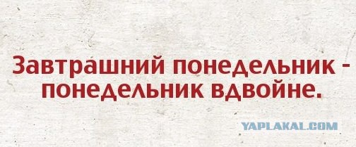 Забавные картинки из Сети