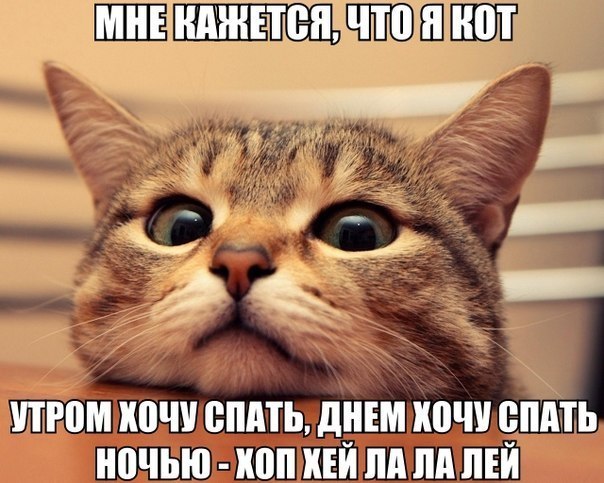 Отовсюду понемногу