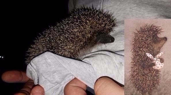 Подборка картинок на среду