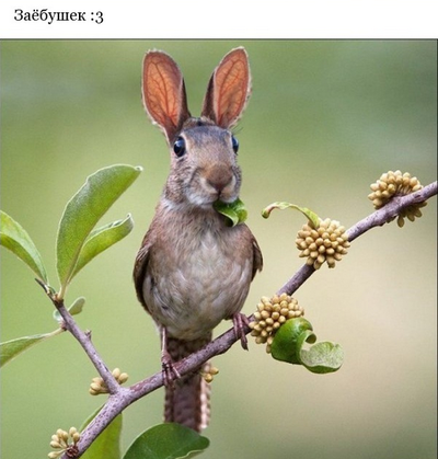 Сейчас таких уже нет...1 фото