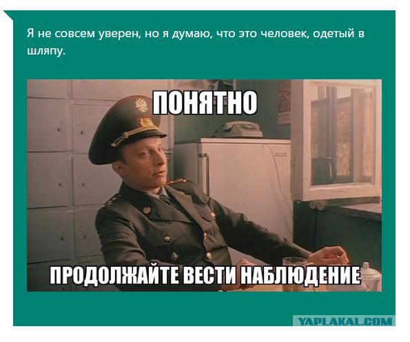Microsoft запустила сервис, автоматически генерирующий подписи к фото