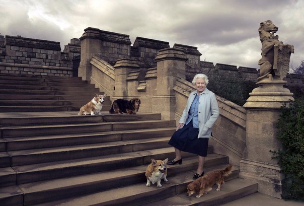 Подборка интересных и веселых картинок