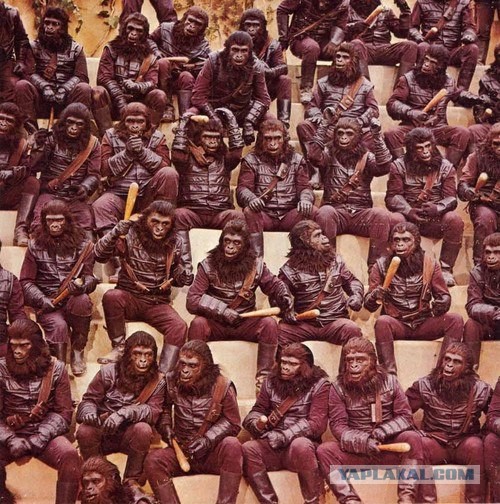 В Португалии владелец кебабной отбился от 50 грабителей при помощи ножа