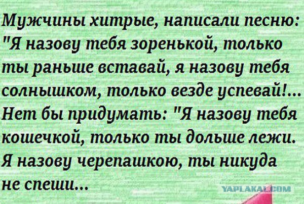 Смешные комментарии из социальных сетей 13.05.2016