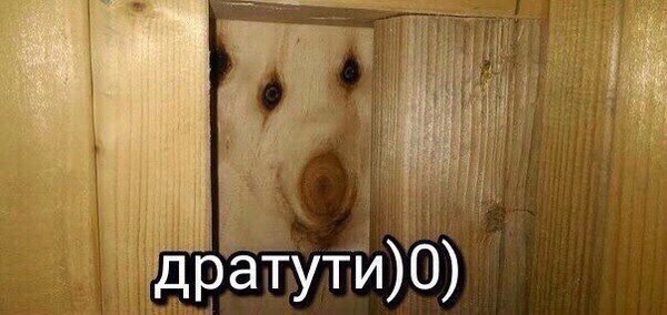 М и Ж. Главные различия между мужским и женским сознанием