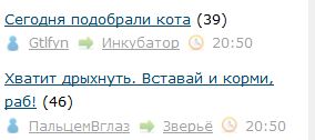 Сегодня подобрали кота