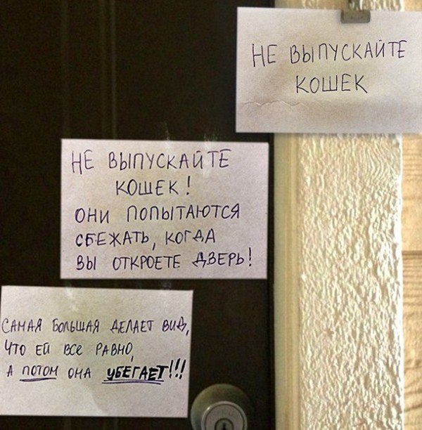 Немного картинок