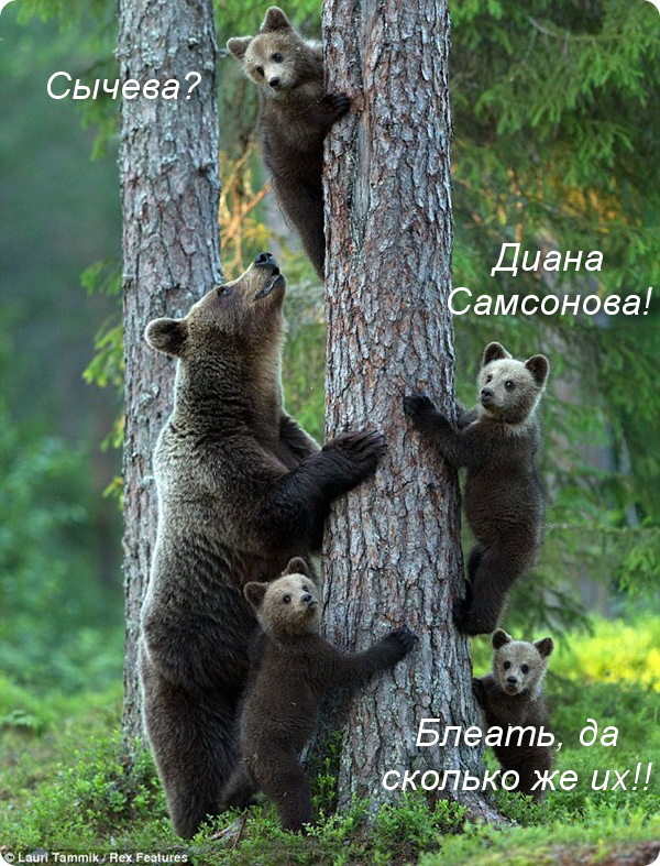 Потусил на восемь лет. Почему "насильника" жалеют больше, чем "жертву"?