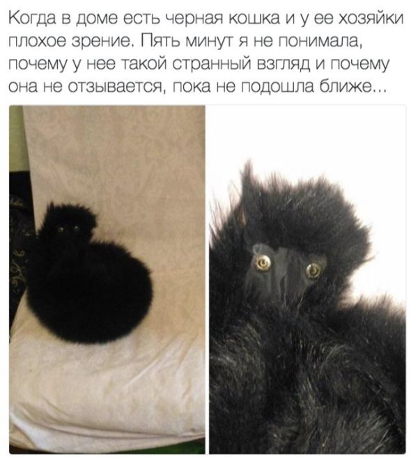 http://s00.yaplakal.com/pics/pics_original/9/2/3/9190329.jpg