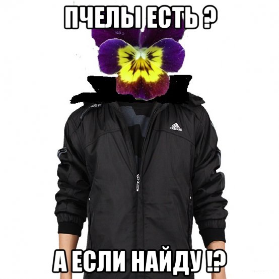 Прикольные картинки на 26.06.217
