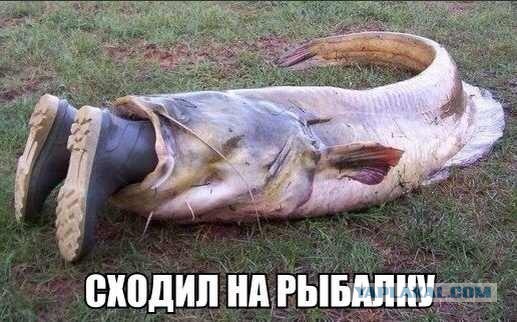 Старые добрые баяны, на случай если кто то стал забывать