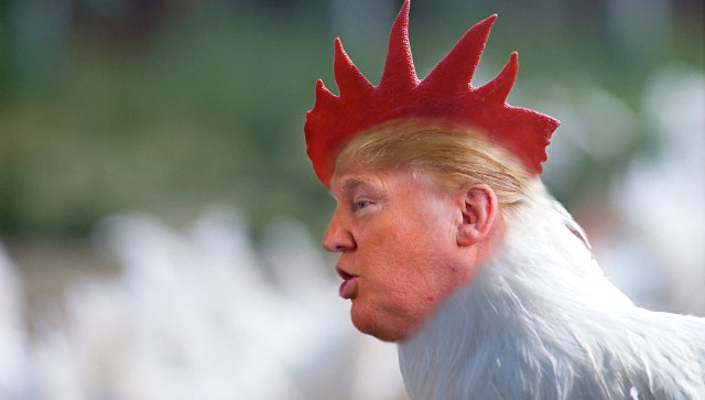Фотожаба "Профиль Трампа"