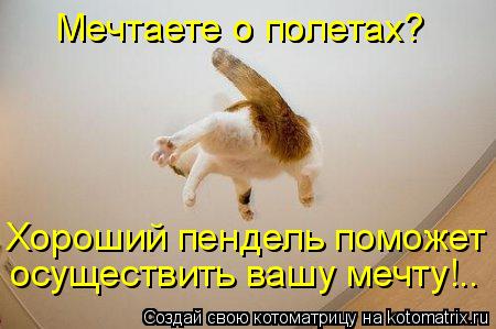 Кот мстит