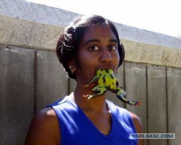 Научно на опыте доказано, что кофе - вредно