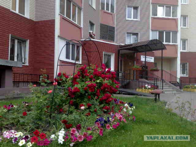 Реальная Украина