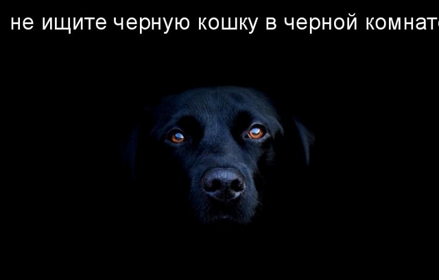 Одну остановку бесплатно - было или нет
