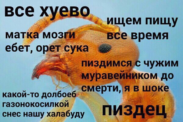 Не очень адекватный юмор
