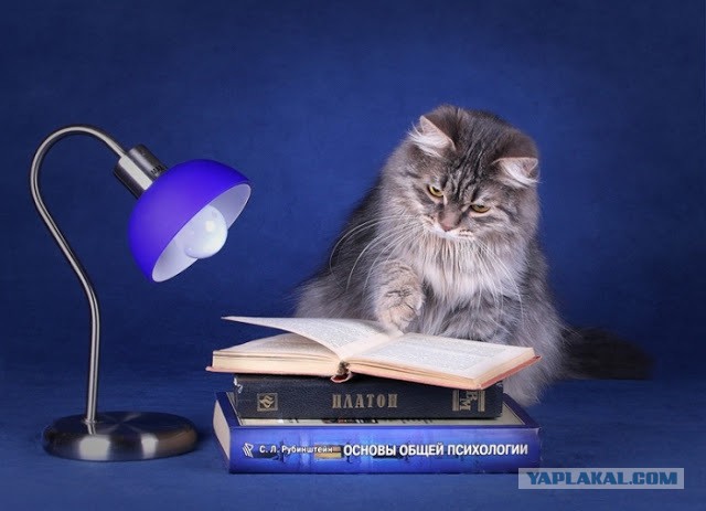 Эмигрант. Фельдшер — о том, почему медики уезжают на Запад, но возвращаются
