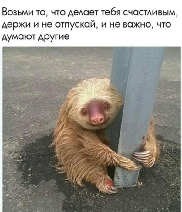 Прикольные картинки абавсём