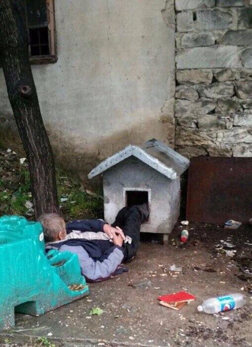 Выловлено в наших сетях