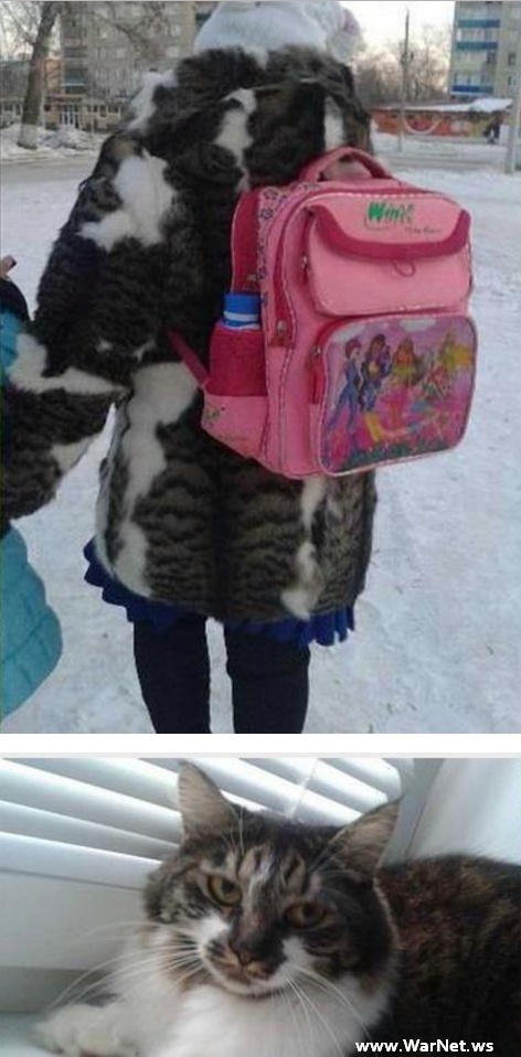 Чернушка к пятничке