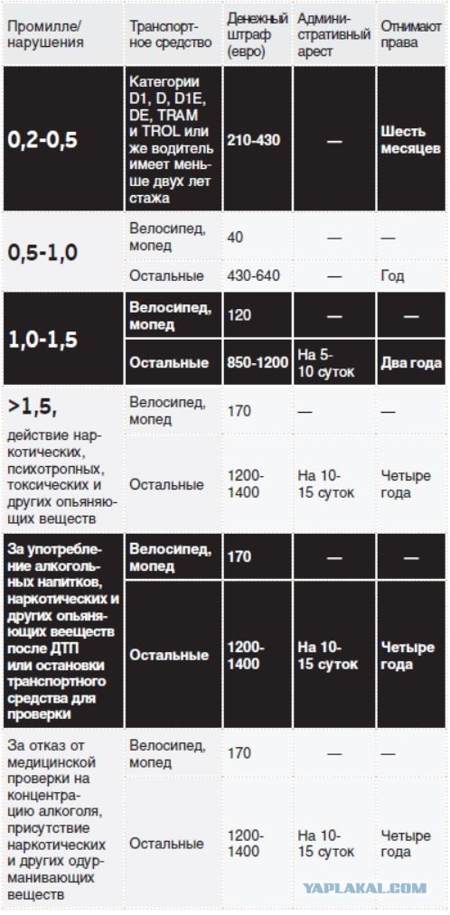 Последствия страшного дтп в Бийске 18+